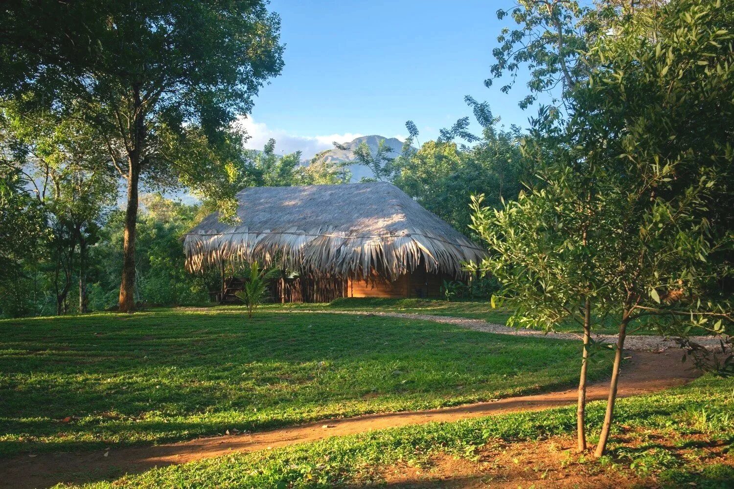 A secluded forest retreat by the river